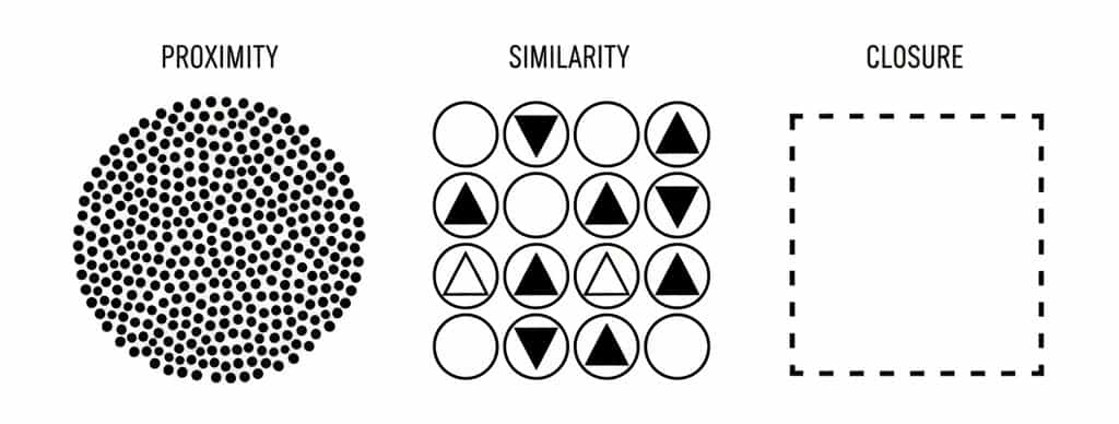 Perception Psychology: How Your Brain Constructs Reality